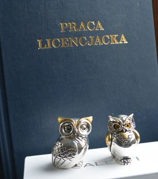 Posrebrzana figurka Sowa Mądra Głowa dla absolwenta, maturzysty 5,5cm VR17061 ORO. Figurka sowy to idealny prezent dla maturzysty (4).JPG